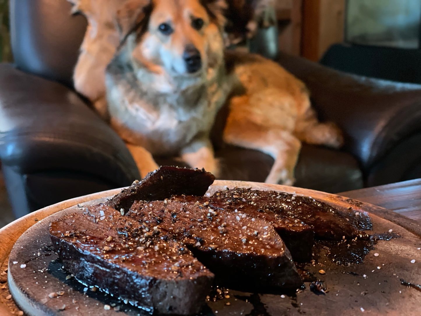 Gutschein für Wildseminar